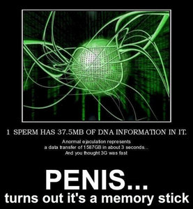 PENIS  memory stick.jpg