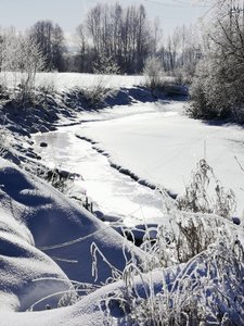 IMG_20220219_112146.jpg