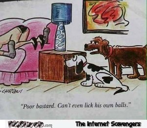 21-he-can-t-even-lick-his-own-balls-funny-dog-cartoon.jpg