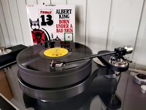 IMG_20220316_161118.jpg