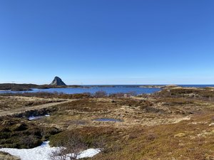 D7866DE8-21B5-4DFB-AD59-C90E65763074.jpeg