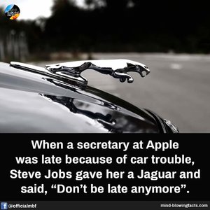 FB_IMG_1651055935257.jpg