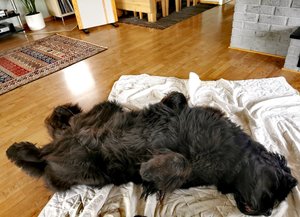 IMG_20220501_082256.jpg