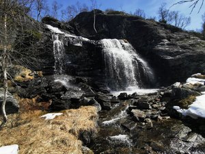 IMG_20220508_125924.jpg