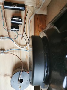 IMG_20220510_121354.jpg