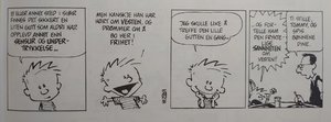 Vesten.JPG