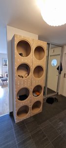 20220515_120025.jpg
