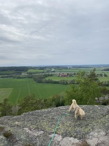 D961589A-9A08-4E79-989D-CB87D55CD2F1.jpeg