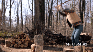 8CB2292D-58C7-4540-9AD6-6C1249EDD45E.gif