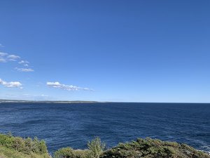 1C720008-B29F-4D04-B849-D2311E596913.jpeg
