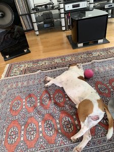 9B67C106-7C3A-4909-B0ED-D8940C95F7AD.jpeg