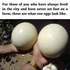 FB_IMG_1653651871146.jpg