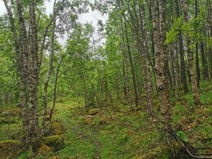IMG_20220612_123729.jpg