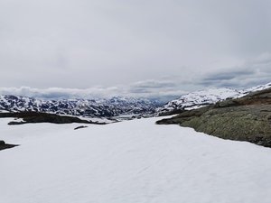 IMG_20220615_130808.jpg