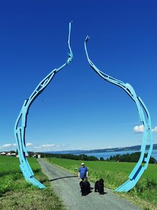 IMG_20220629_124243.jpg
