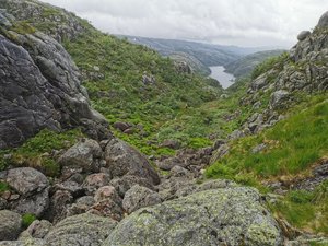 IMG_20220709_123351.jpg