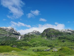 IMG_20220710_101556.jpg