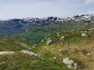 IMG_20220710_123504.jpg