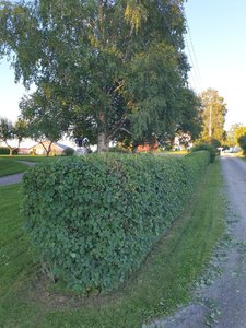 20220713_213143.jpg