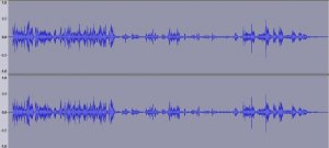 2L_Figments_2496_Waveform.jpg