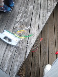 IMG_20220717_182228286.jpg