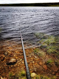 IMG_20220801_194538.jpg