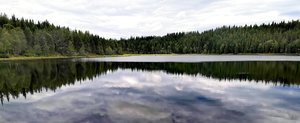 IMG_20220809_170145.jpg