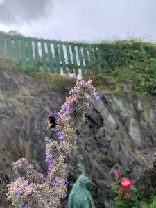4D200359-686A-46DF-97B6-10BFAD717325.jpeg