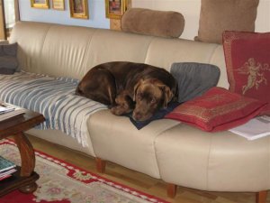 IMG_0019 (Small).JPG