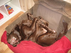 IMG_0312 (Small).JPG