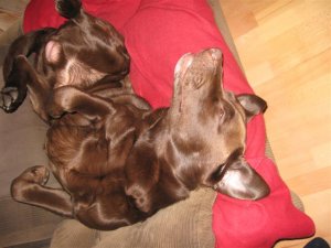 IMG_0315 (Small).JPG