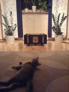 DSC02079web.JPG