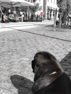 IMG_20220825_164527.jpg
