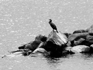 IMG_20220909_201410.jpg