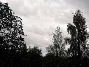 IMG_20220914_175520.jpg