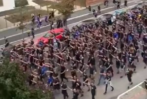 dz fans.jpg