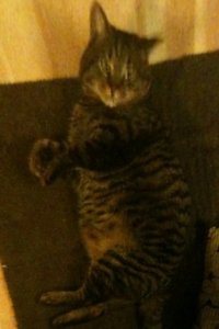 165790_182144668481186_100000569611865_581088_5322470_n copy.jpg