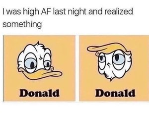 donald.jpg