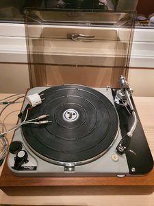 20221019_073544.jpg