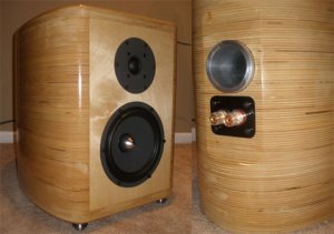 trans-laminated-speakers.jpg