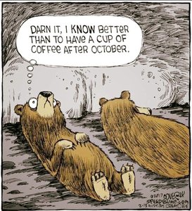 Bear October.jpg