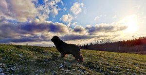 IMG_20221121_135827.jpg