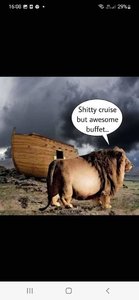 FB_IMG_1668726489189.jpg
