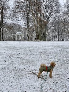 04F4A181-6B60-4040-A06F-3FA159B84442.jpeg