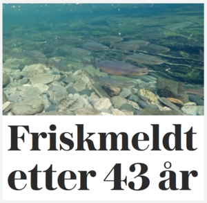 Friskmelde lakseelver.png