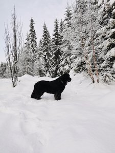 IMG_20221201_113941_1.jpg
