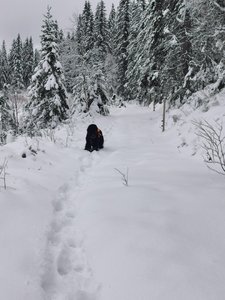 IMG_20221203_111355.jpg