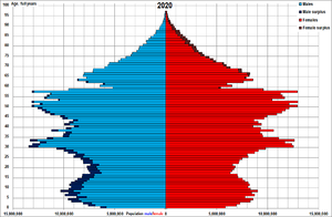 China_population_sex_by_age_on_Nov,_1st,_2020.png
