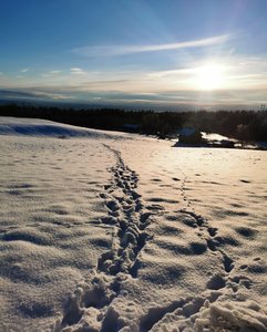 IMG_20221209_123311.jpg