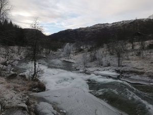IMG_20221205_130443.jpg
